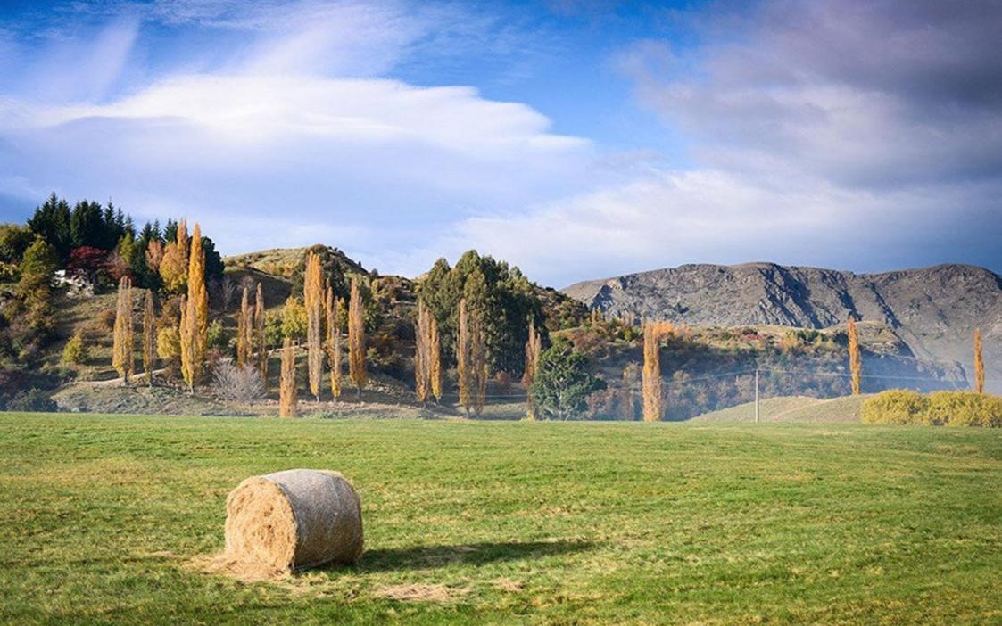 在新西蘭注冊公司的稅收制度