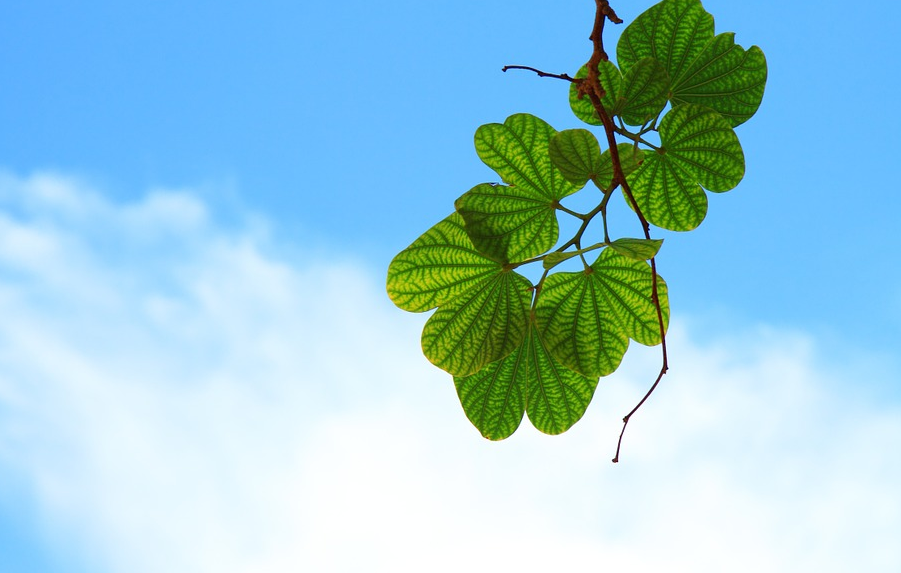 窩在家，也要做點有意義的事情！窩在家，也要做點有意義的事情！