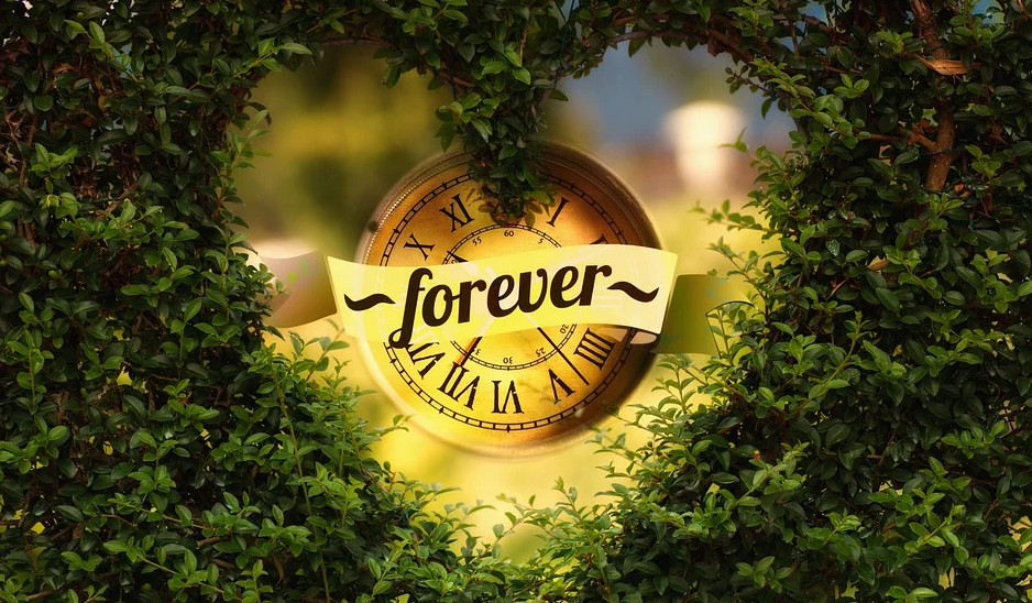 配偶在美國境內，申請結婚移民的全部流程（最新）